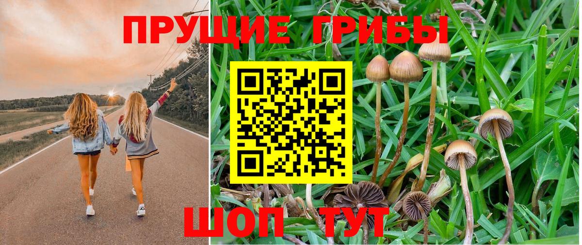 Краснодар  Псилоцибиновые грибы Magic Shrooms  Вход с VPN  Псилоцибиновые грибы Psilocybe 